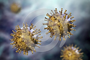 Varicella zoster or chickenpox virus photo