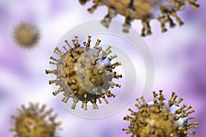 Varicella zoster or chickenpox virus photo