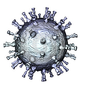 Varicella zoster virus illustration