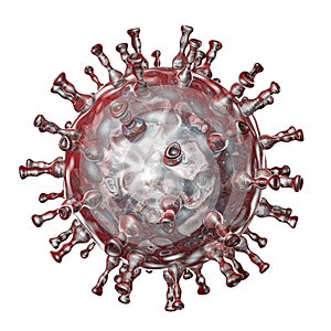 Varicella zoster virus illustration