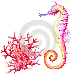 Varicolored seahorse and red coral, hand drawn watercolor