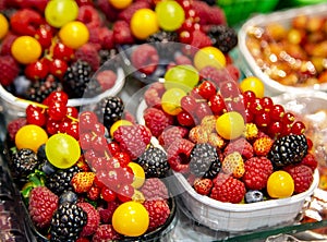 Varied assortment of fresh berries for dessert