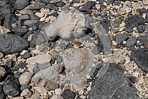 The varied rocks on the beach at the Natural Pool