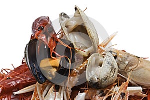 Varied seafood on a white background.