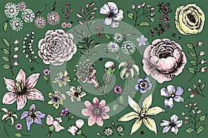 Variegated flowers collection