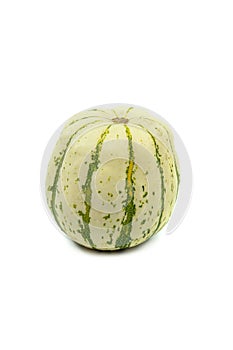 Variegated green and white ornamental gourd