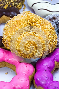 Variery of fresh donuts