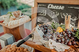 Varieties of cheeses on the buffet table