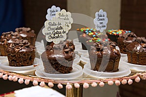 Varieties of cupcake with decorative plate with the phrase `Carrot cake with brigadier`.and `Chocolate Chip Chocolate Cake`