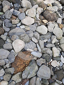 Varieties of natural stones