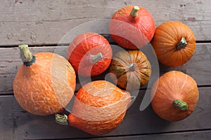 Varieties of squashes and pumpkins.