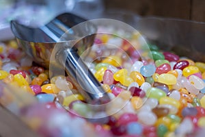 Varieties of Sugary Gummies and Candies in Various Shapes and Colors with the silver Paddle