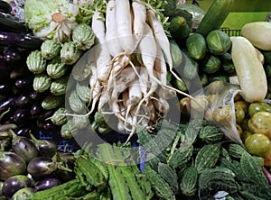 Varieties of Vegetables