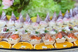 Variety appetizers and finger food