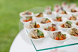 Variety appetizers and finger food