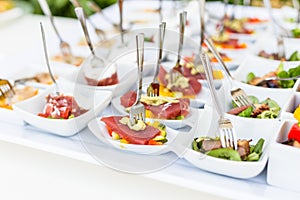 Variety appetizers and finger food