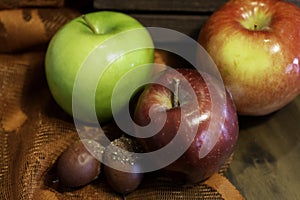 Variety of apples with an acorn