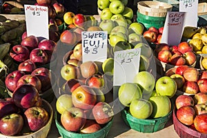 Variety of Apples for Sale 1