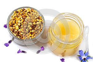 A variety of bee products. Honey, pollen, royal jelly, Apitherapy. Healthy products made by bees.