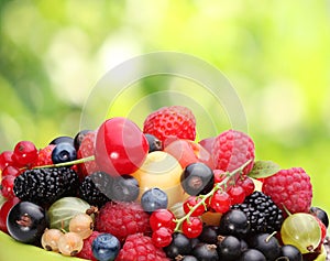 Variety of berries photo