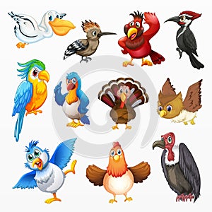 Variety of birds cartoon set