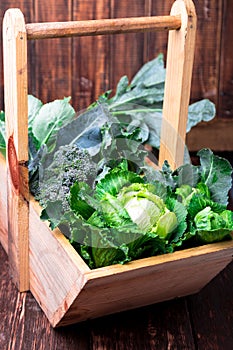 Variety of cabbages in wooden basket on brown background. Harvest. Close up.