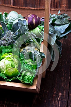 Variety of cabbages in wooden basket on brown background. Harvest. Close up.