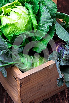 Variety of cabbages in wooden basket on brown background. Harvest. Close up.