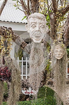 A variety of Chiang Rai in northern Thailand Baimiao hanging on a tree of demons