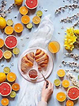 A variety of citrus fruits with fresh croissants, jam and juice on a light blue background with spring flowers