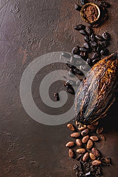 Variety of cocoa beans