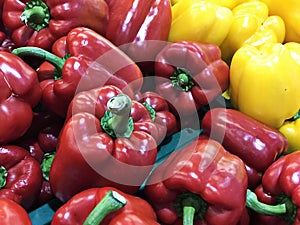 Variety of colored bell pepper or capsicum.