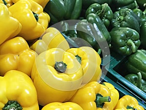 Variety of colored bell pepper or capsicum.