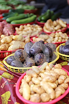 Variety of Colorful Homegrown Potatoes for Sale at Local Farmer`s Market