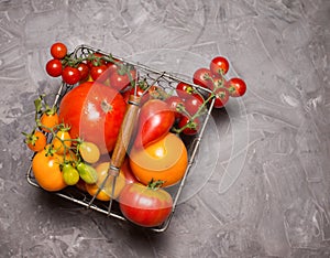 Variedad de vistoso tomates ajo a albahaca en sobre el gris copiar espacio. fresco 