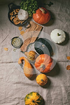 Variety of colorful pumpkins