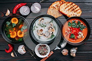 Variety of colorful vegetables cream soups and ingredients for s