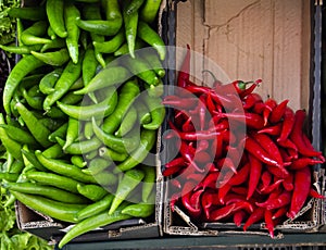 Variety of colorful vegetables green red hot chilli pepper in cartons close up