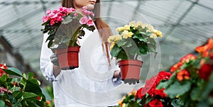 Variety of colors. Girl in work clothes holding two pots in hands inside the greenhouse