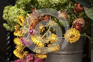 Varietà da colori più vicino Mantenere londra. il grande mazzi di fiori lattina vasi 