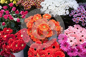 Variety of colourful bouquets of flowers