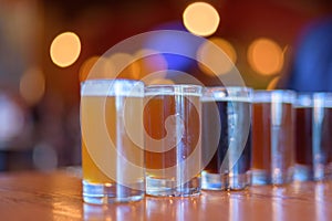 Variety of beer samples lined up for a tasting