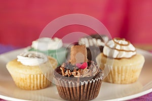 Variety of Cup cakes