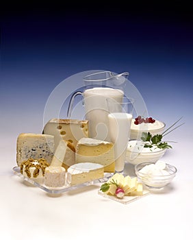 Variety of dairy products