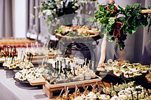 A variety of delicious appetizers, snacks on the table at a party photo