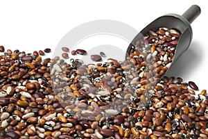 Variety of different beans