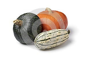 Variety of different pumpkins in autumn on white background