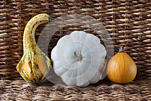 Variety of different pumpkins in a wicker background