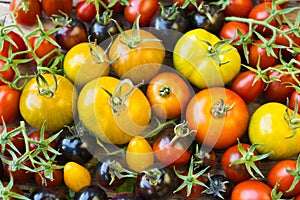 Variety of different rare tomatoes