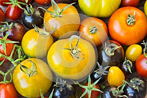 Variety of different rare tomatoes